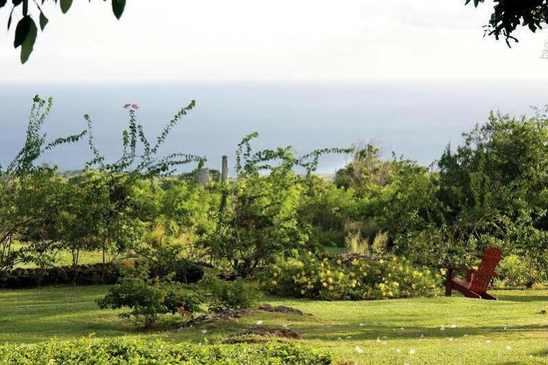 Montpelier Plantation & Beach Charlestown Exteriér fotografie